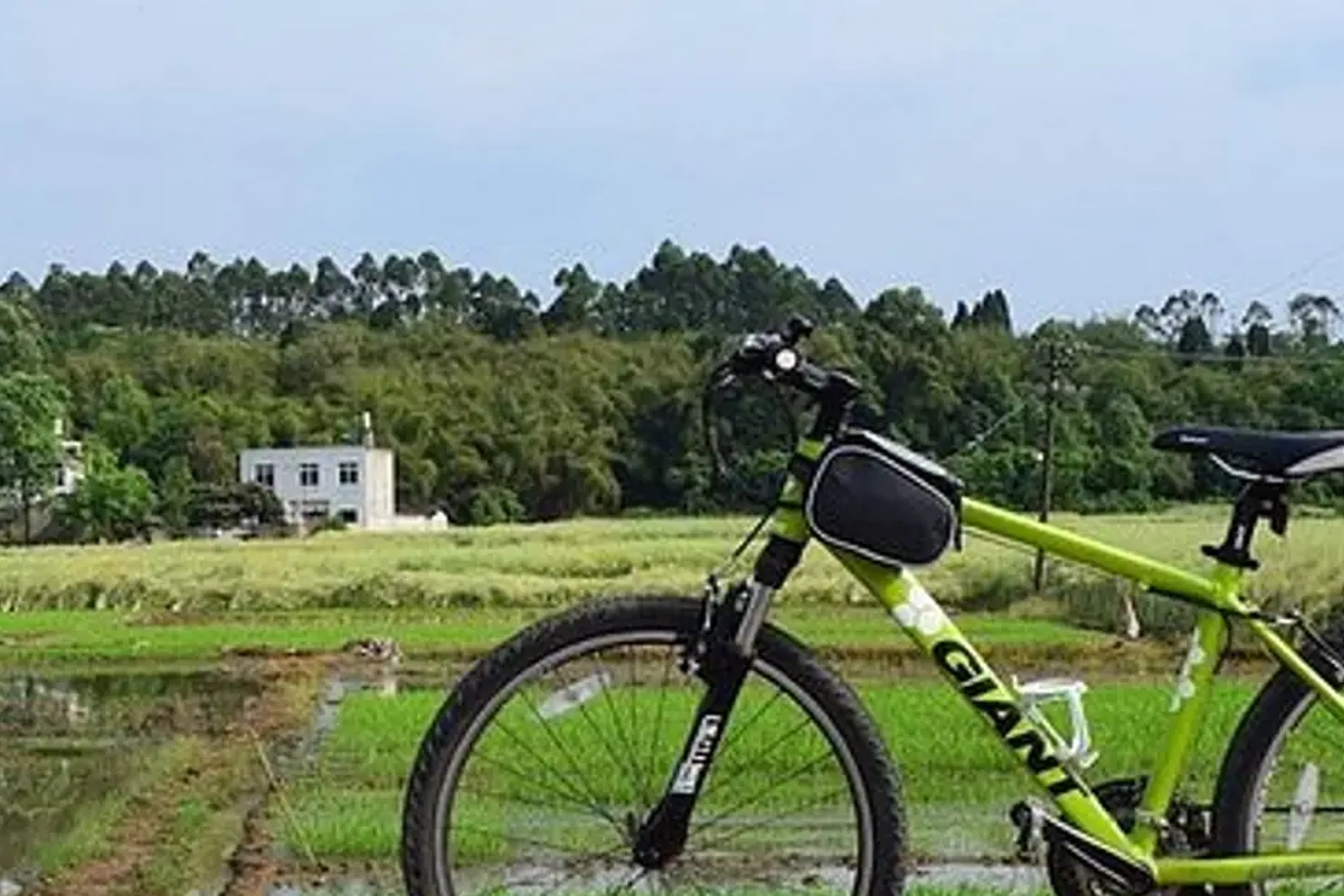 Private Chengdu Half Day Bike Tour